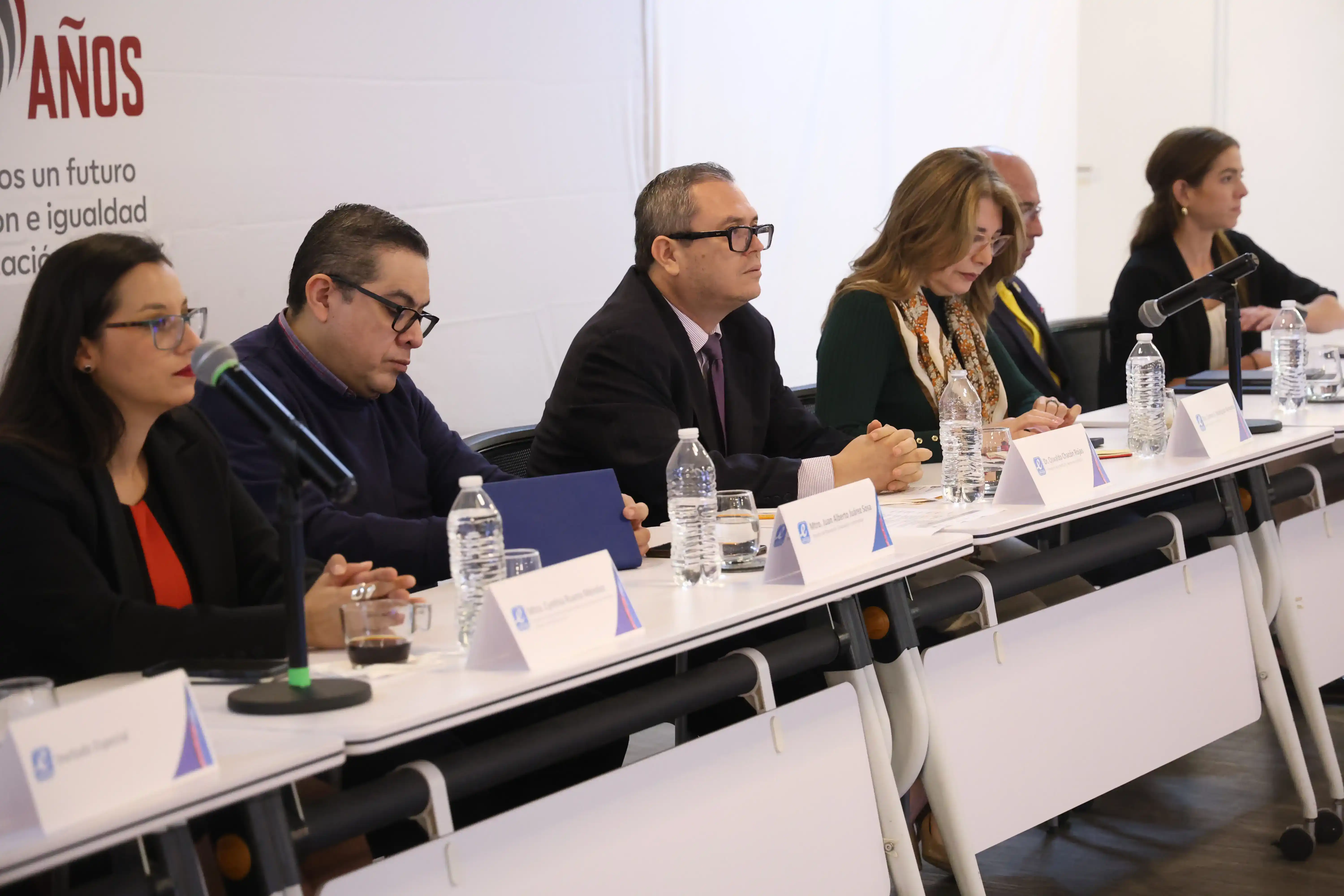 Mesa de trabajo institucional de AMECYD
